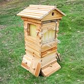 BeeHoneyFlow Mini Nuc Beehive Starter Kit, Auto Bee Box with 4 Auto Super Frames and 6 Brood Frames for Beginner Beekeeping