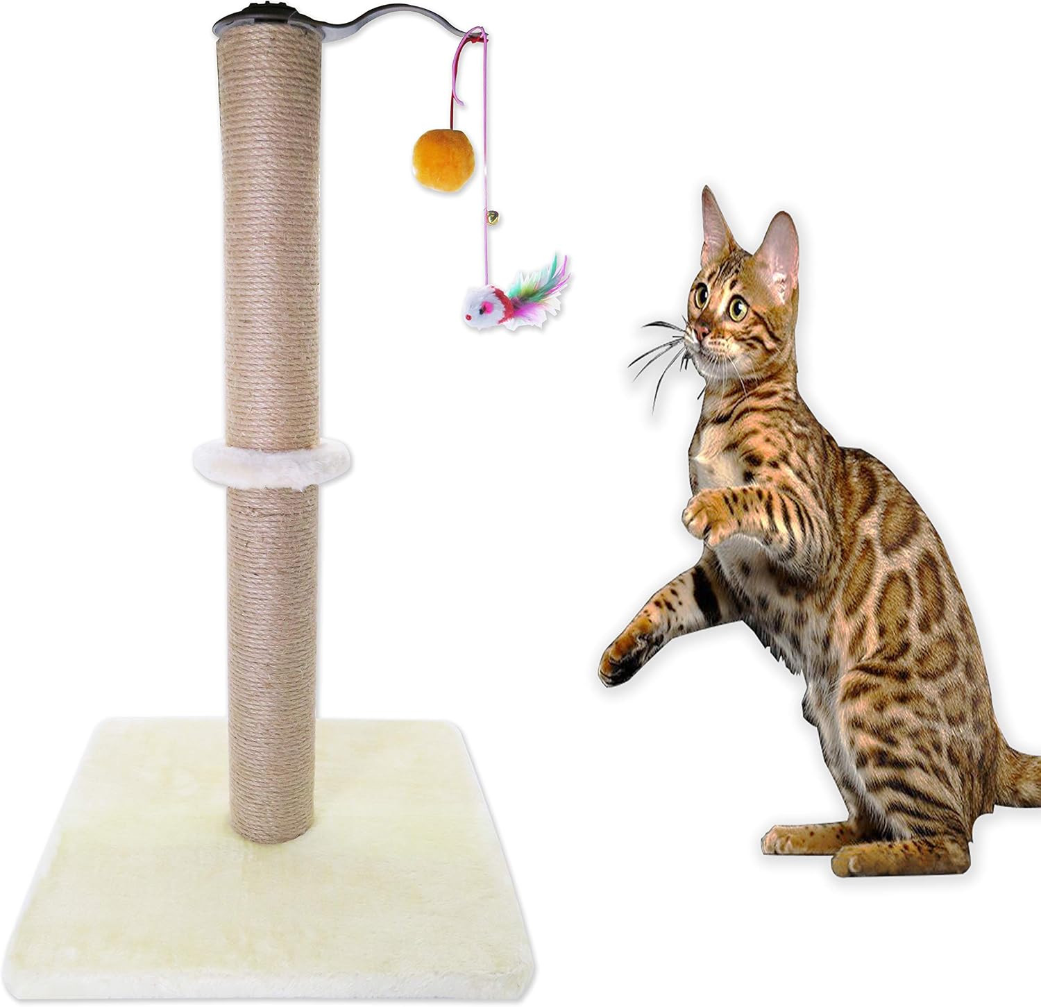 Littlefun Cat Scratching Post Kittens Interactive Play Toys, Plush Sisal Scratch Pole Cat Kitten Scratcher (Beige, Cylinder) - Image 3