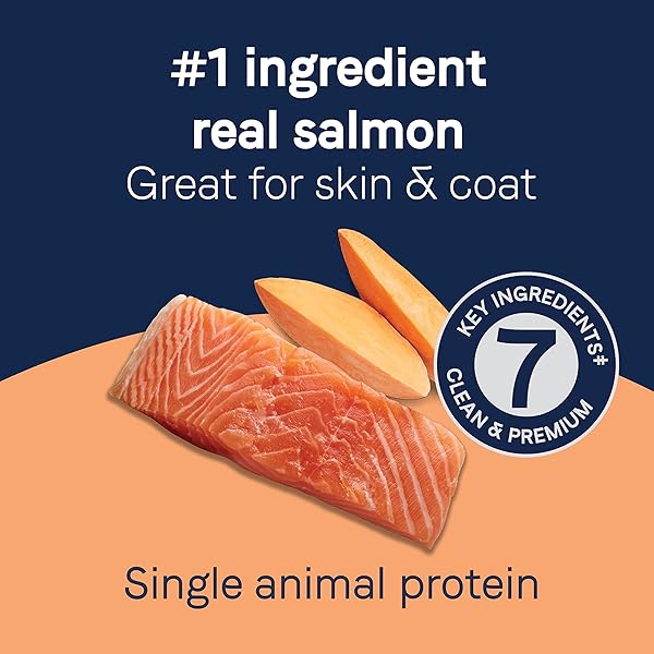 CANIDAE PURE DOG TREAT BISCUITS WITH SALMON & SWEET POTATO, 11 OZ, GRAIN FREE