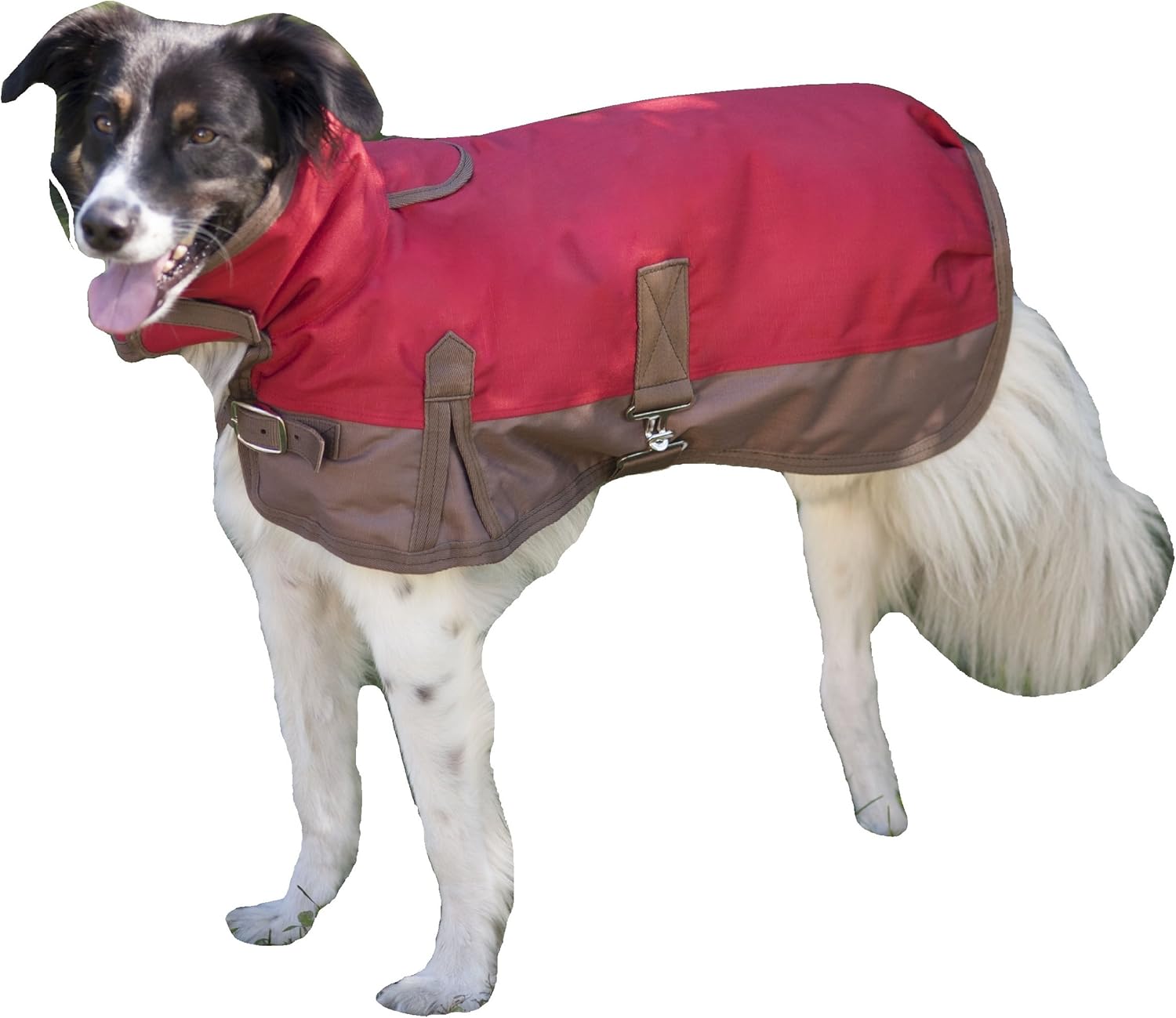 best waterproof dog walking coat
