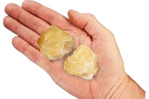 Rock Your Chakra Pineapple Yellow Calcite 1 1/2" 2 Pieces Rocks and Minerals Solar Plexus Chakra Healing Crystals and Stones Specimen Reiki