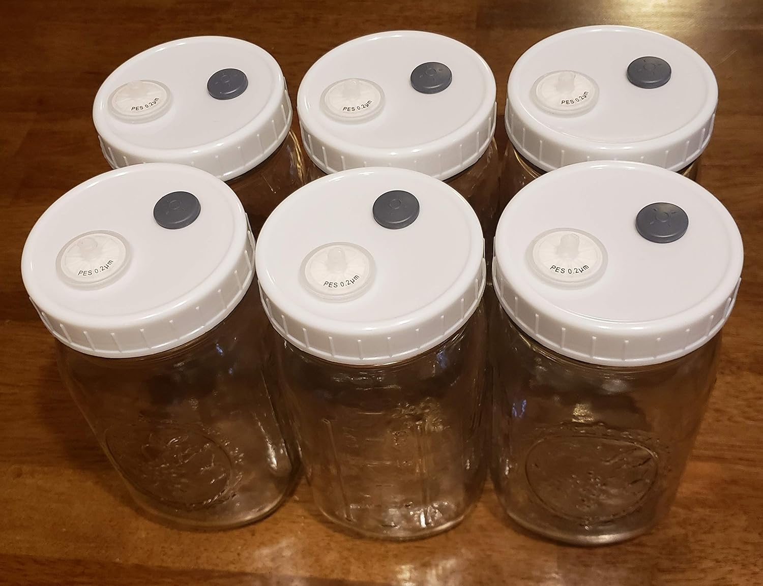 Industrial & Scientific Caps Glassware & Labware 12 Grain Spawn Master