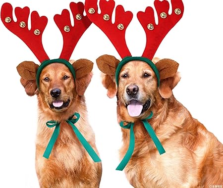 amazon dog christmas