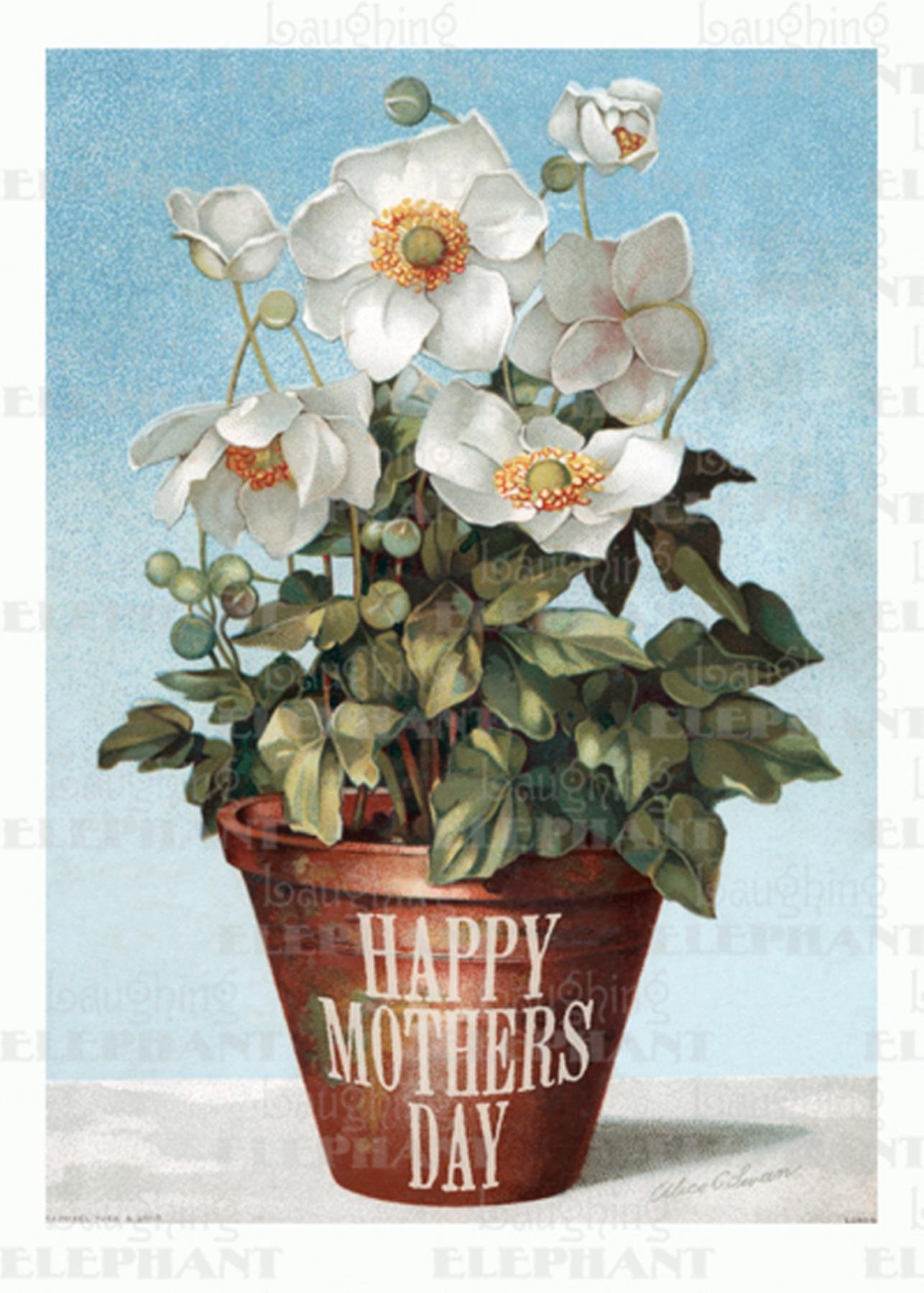 potted flowers for mother's day
