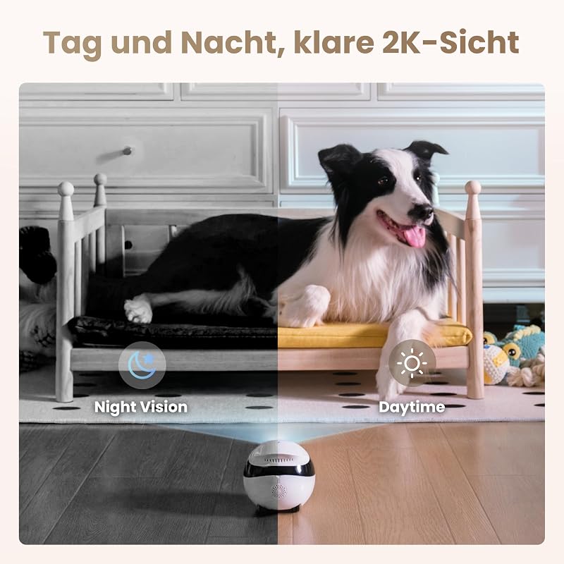 Air 2 FamilyBot-Intelligenter 2K Überwachungskamera Roboter mit Selbstaufladung,Patrol Roboter für die Heimüberwachung,Kabellose Hundekamera&Katzen Kamera mit Nachtsicht,2-Wege-Audio (Weiß)
