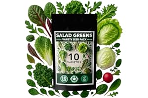 Salad Greens Variety Pack | 10 Varieties of Salad Green Seeds Including Lettuce, Spinach, Kale, Beet Greens & More | Easy Gro