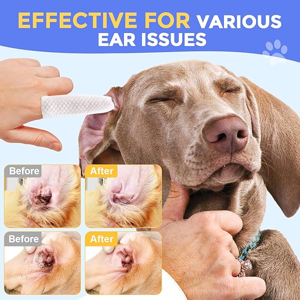 PUPMATE EAR FINGER WIPES FOR DOGS & CATS – CLEANING EARWAX & DEBRIS – RELIEVES EAR ITCHING & DISCOMFORT – FRESH ALOE SCENT – SOOTHS & REPAIR, NATURAL INGREDIENTS-50 COUNT