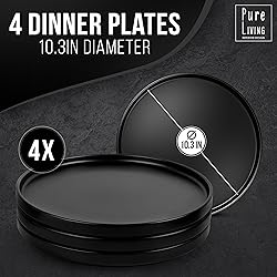 Stoneware Dinner Plates Set of 4, Stylish Matte
