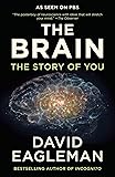 The Brain: The Story of You