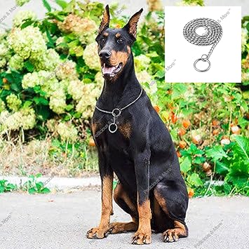 Petlicious & More Stainless Steel Snake Design Dog Training Choke Chain (Silver)