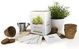 Gift Republic Grow It Grow Your Own Carnivorous Plants Green GR200010 view 2