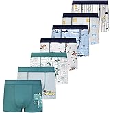 Czofnjesi Boys Breathable Dinosaur Car Cotton Boxer Brief Underwear Sets