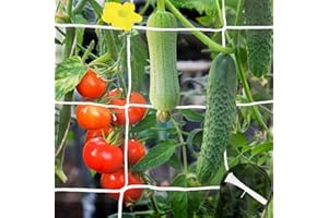YHmall Trellis Netting for Climbing Plants, 2 Pack 5x15 Ft Heavy Duty Garden Trellis Netting with 50 Pcs Garden Ties, Square Mesh Outdoor Indoor Grow Net for Support Vine Vegetable Fruits and Flower