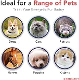Hofseth Biocare Brilliant Salmon Oil for Pets 1 Litre Pure Omega 3 6 9 view 8
