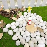 FANTIAN 2 Lbs White Pebbles 20-30 mm Decorative Stones for Plants Pots view 9