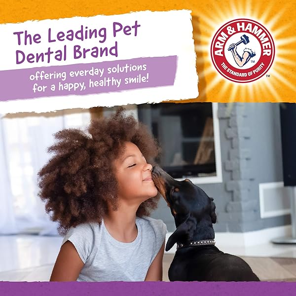 ARM & HAMMER FOR PETS NUBBIES DENTAL TREATS FOR DOGS WITH BAKING SODA AND CALCIUM, TREAT CHEWS HELP FIGHT BAD BREATH, PLAQUE & TARTAR WITHOUT BRUSHING, MD SIZE MINT, 62 PCS (PACKAGING MAY VARY)