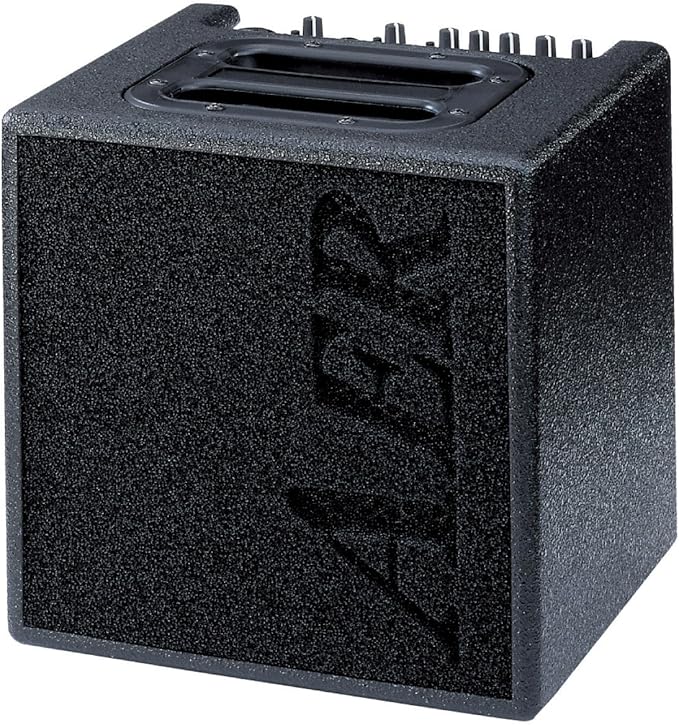 AER Alpha 40W Guitar Combo Amp