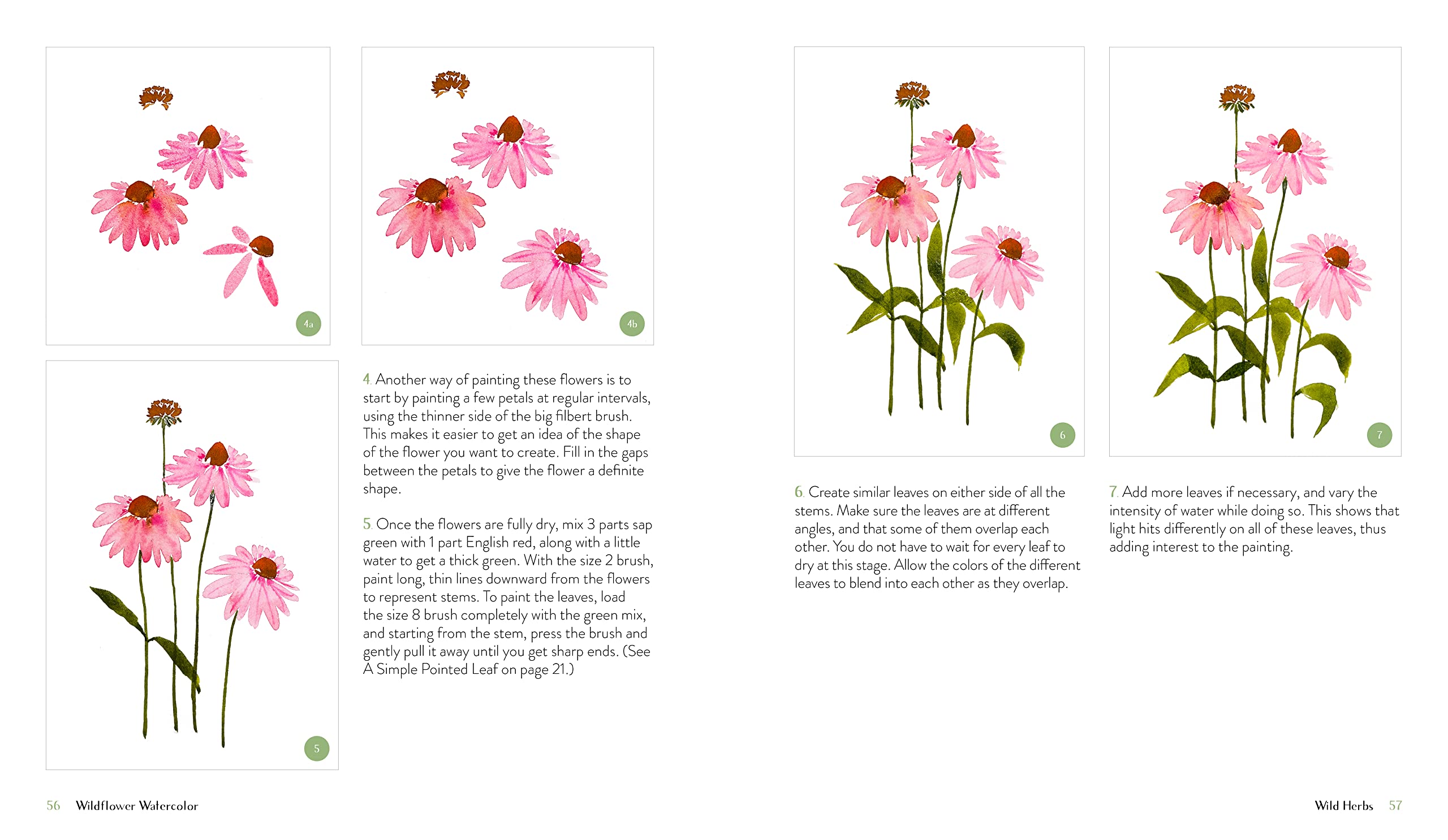 Wildflower Watercolor: The Beginner’s Guide to Painting Beautiful Florals Wildflower Watercolor: The Beginner’s Guide to Painting Beautiful Florals Paperback Kindle Spiral-bound