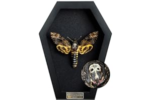 VINADECOR Real Death Head Moth White Skull Acherontia Gothic Witchy Spooky Halloween Butterfly Entomology Shadow Box Insect Oddity Curiosities Taxidermy Wall Art Home Decor Living Gallery CF18-01-DE-MT