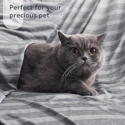 Guohaoi Cooling Blanket (90"x108"King Size) for Hot