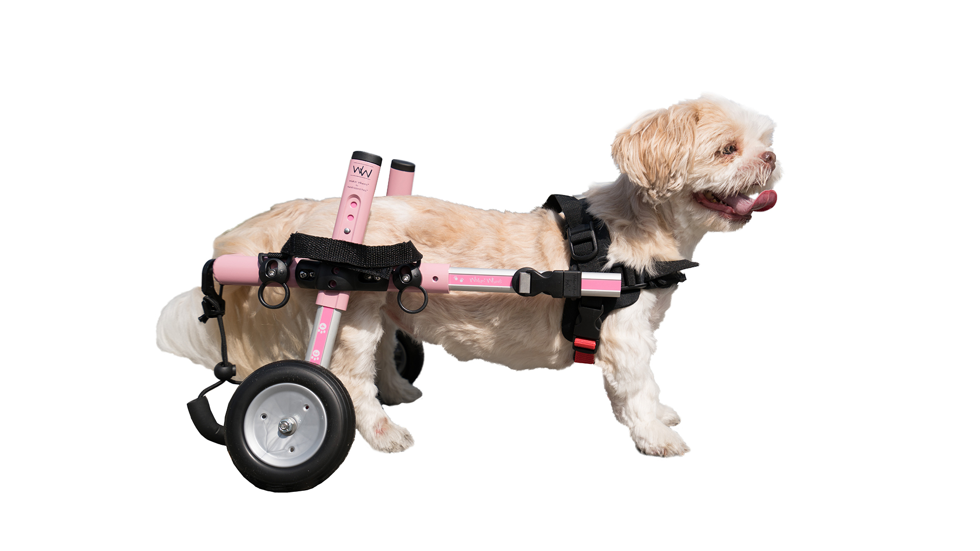 Walkin' Wheels Dog Wheelchair Small Dogs 1125 lbs Veterinarian
