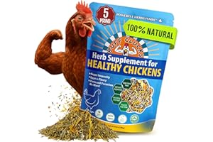 Buff Clucks Herb Supplement for Backyard Chickens - Natural Chicken Treats, Poultry Feed Botanical Mix, Plant-Based Coop Snacks for Daily Wellness, Feather Quality, Egg Production, USA (5 LB)