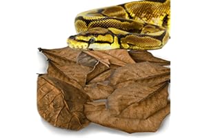 SunGrow Leaf Litter for Snakes, 10 Pcs Medium Indian Almond Catappa Leaves Substrate Maintain Humidity in Corn Snake and Ball Python Terrarium, 4-7 Inches, Reptile Tank Decor Accessories