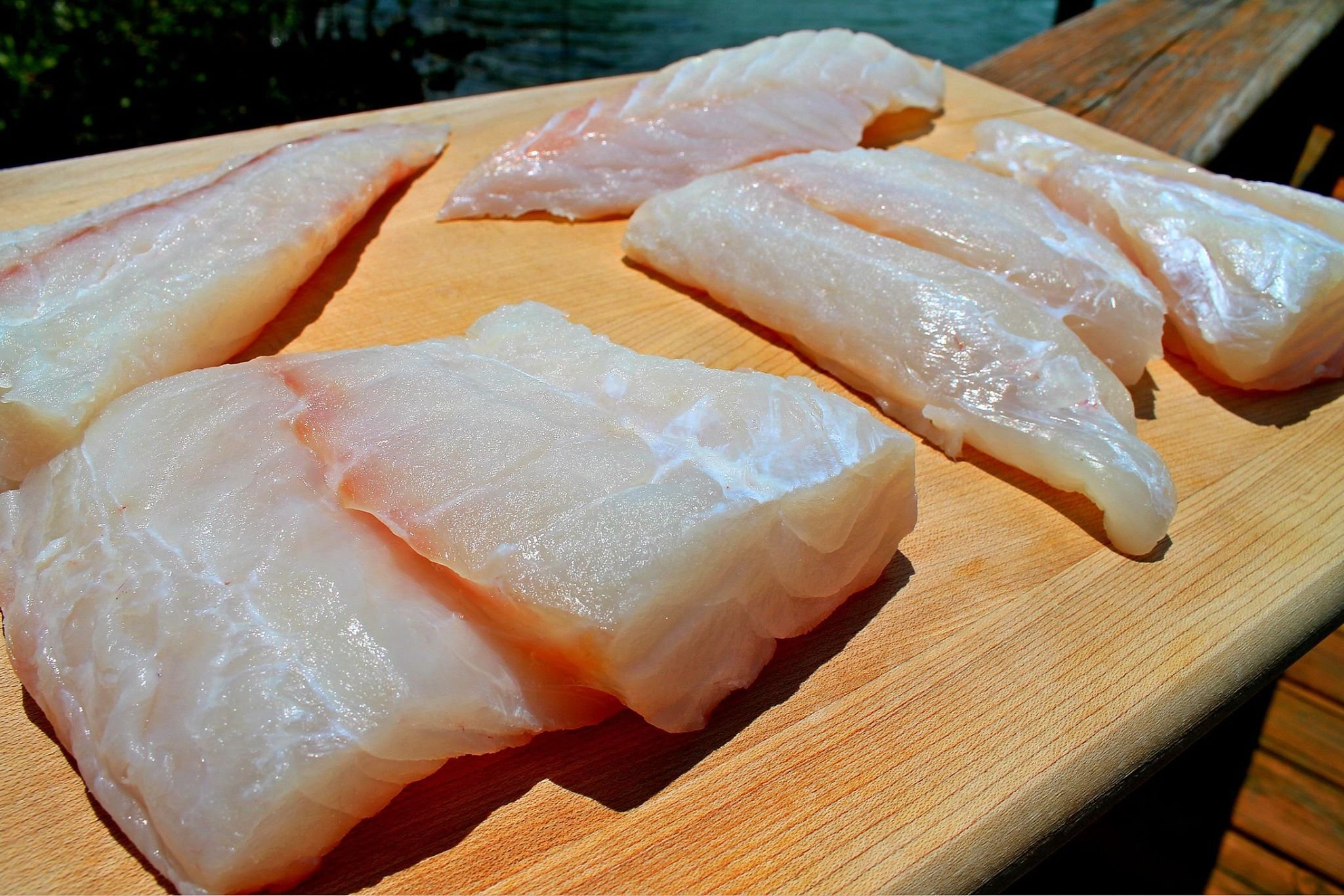 Buy Red Grouper, Fresh Florida Gulf Wild Caught not frozen 2LB Online