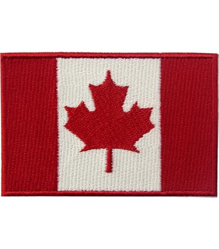 Drapeau du bouclier de la Roumanie Brodé à Repasser ou à Coudre Patch