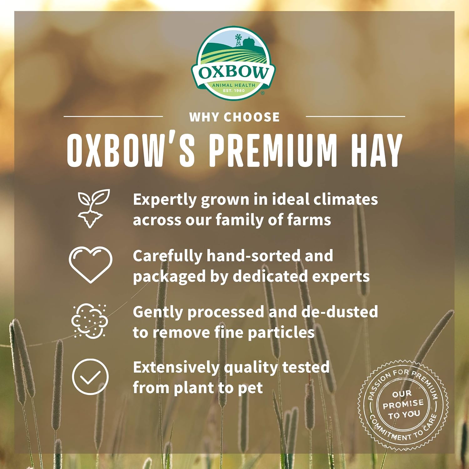 Oxbow Animal Health Western Timothy Hay, 40 Oz: Pet Supplies