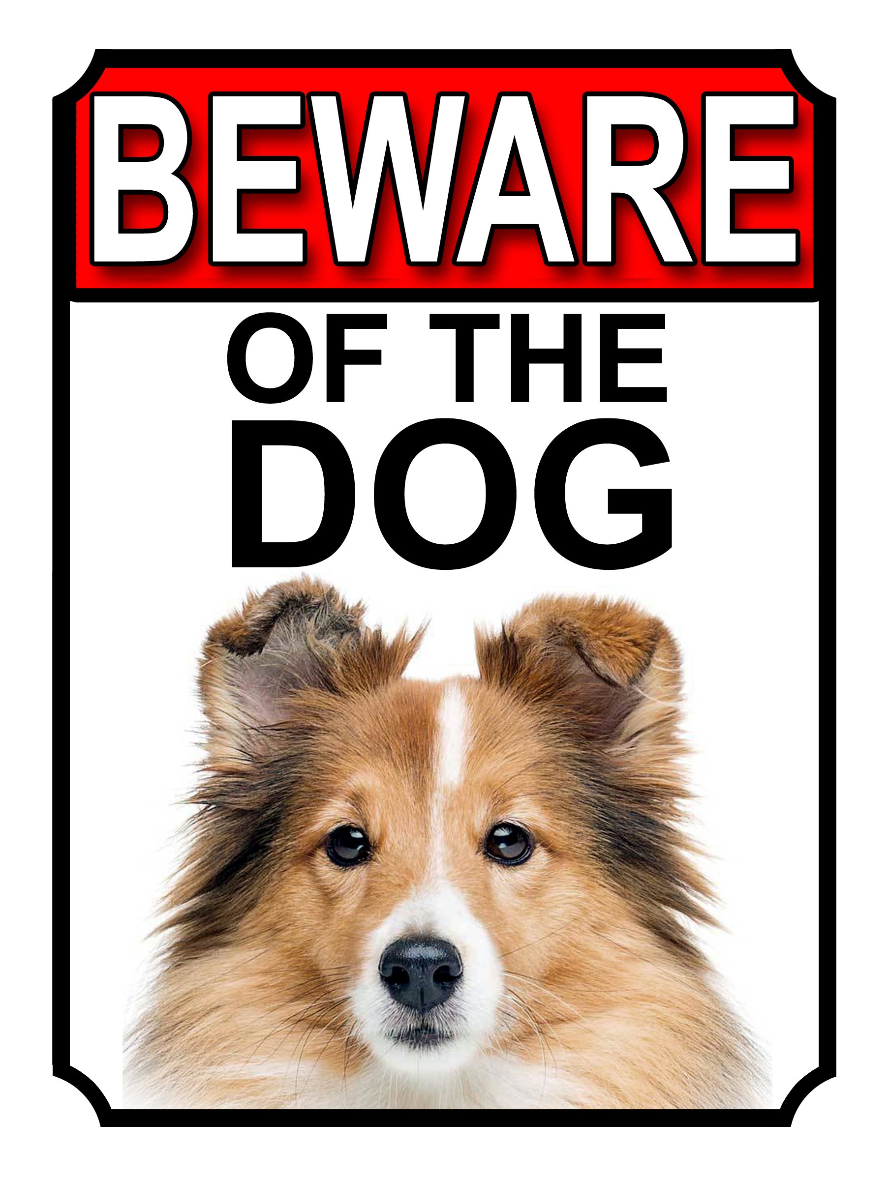 BEWARE OF THE DOG METAL GATE SIGN SHETLAND SHEEPDOG 200MM X 150MM (1149H1)