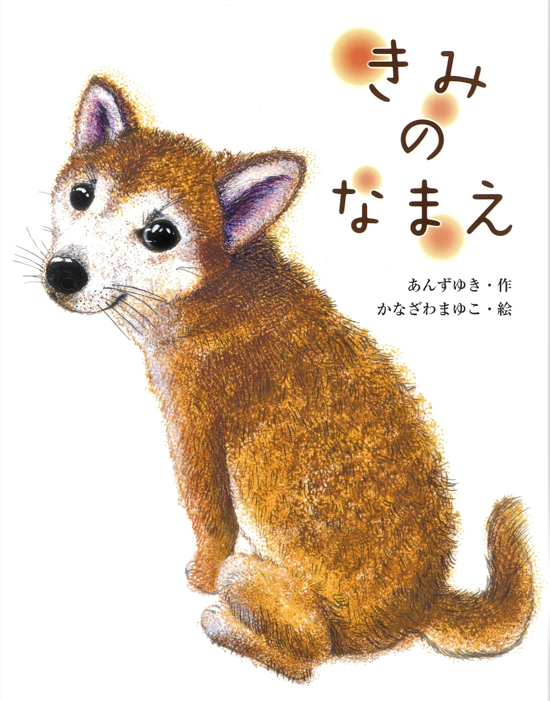 きみのなまえ おはなしみーつけた シリーズ あんずゆき かなざわまゆこ 本 通販 Amazon