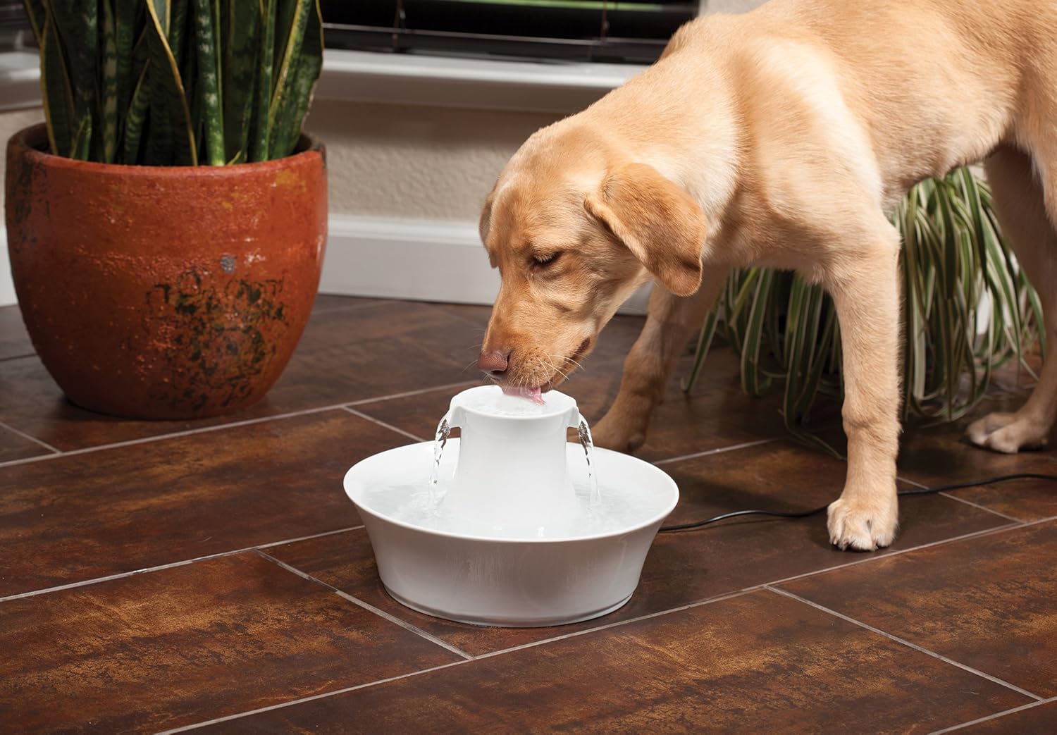 מוצרים לחיית מחמד PetSafe Drinkwell Avalon Pet Water Fountain