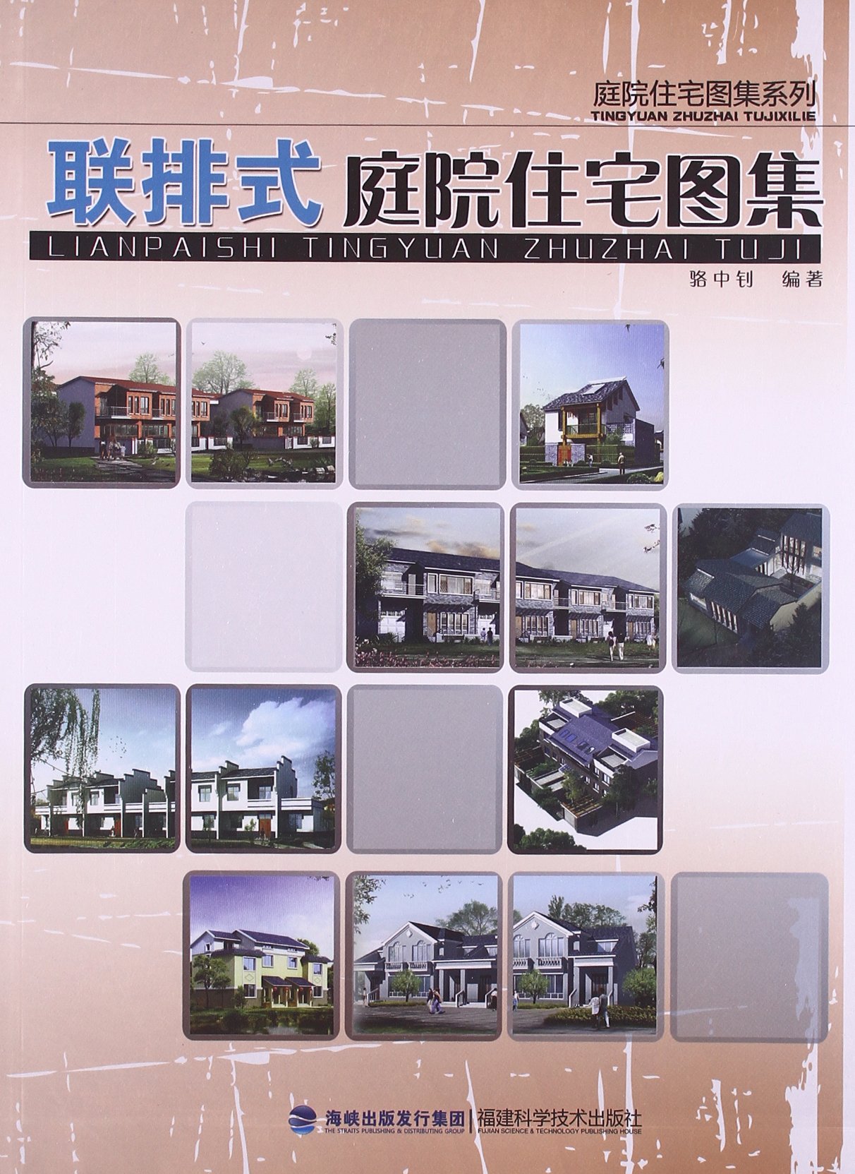 庭院住宅图集系列 联排式庭院住宅图集 骆中钊 Amazon Com Books