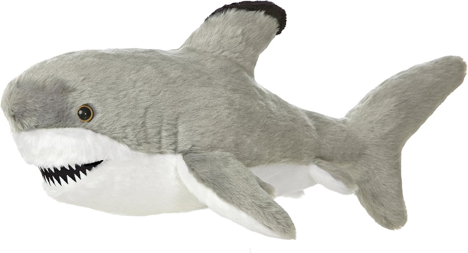 Aurora - Destination - 17" Shark