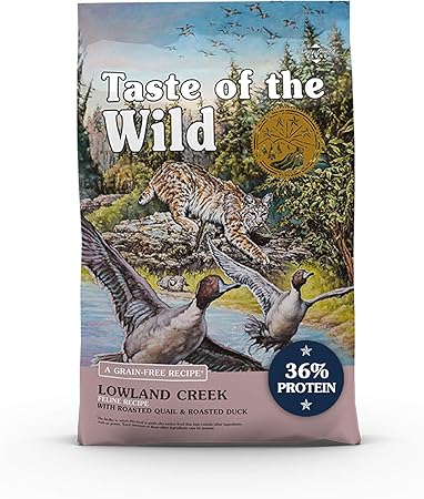 taste of the wild kitten food
