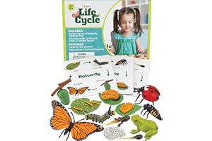 GLINGLONG Life Cycle Kit Toy Montessori - Realistic Figurine Toys, Kids Animal Match Set with Frog, Ladybug & Butterfly - Includes 12-Piece, Stocking Stuffers Educational & Fun Learning Game for Children 3+