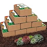 ZeeDix 10 Pcs Compressed Coco Coir Brick for