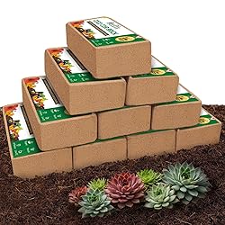 ZeeDix 10 Pcs Compressed Coco Coir Brick for