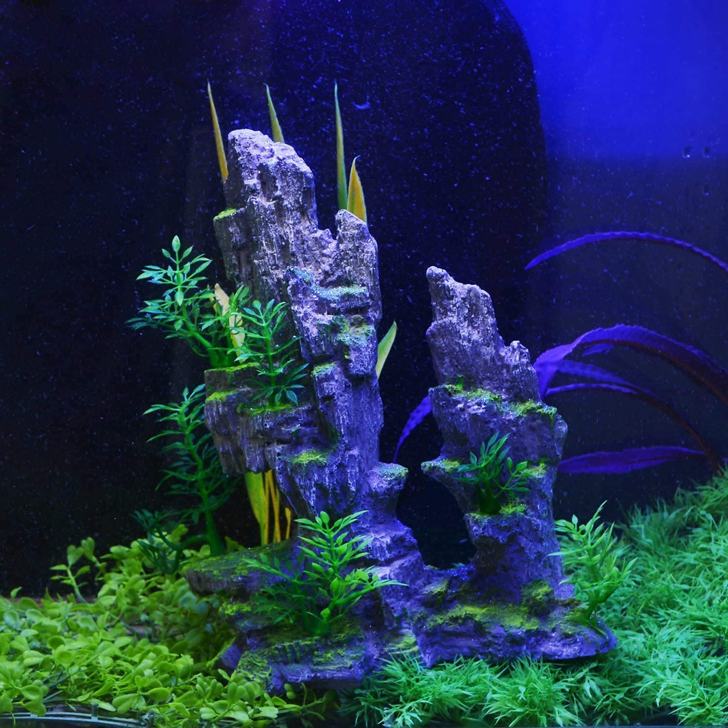 View 5