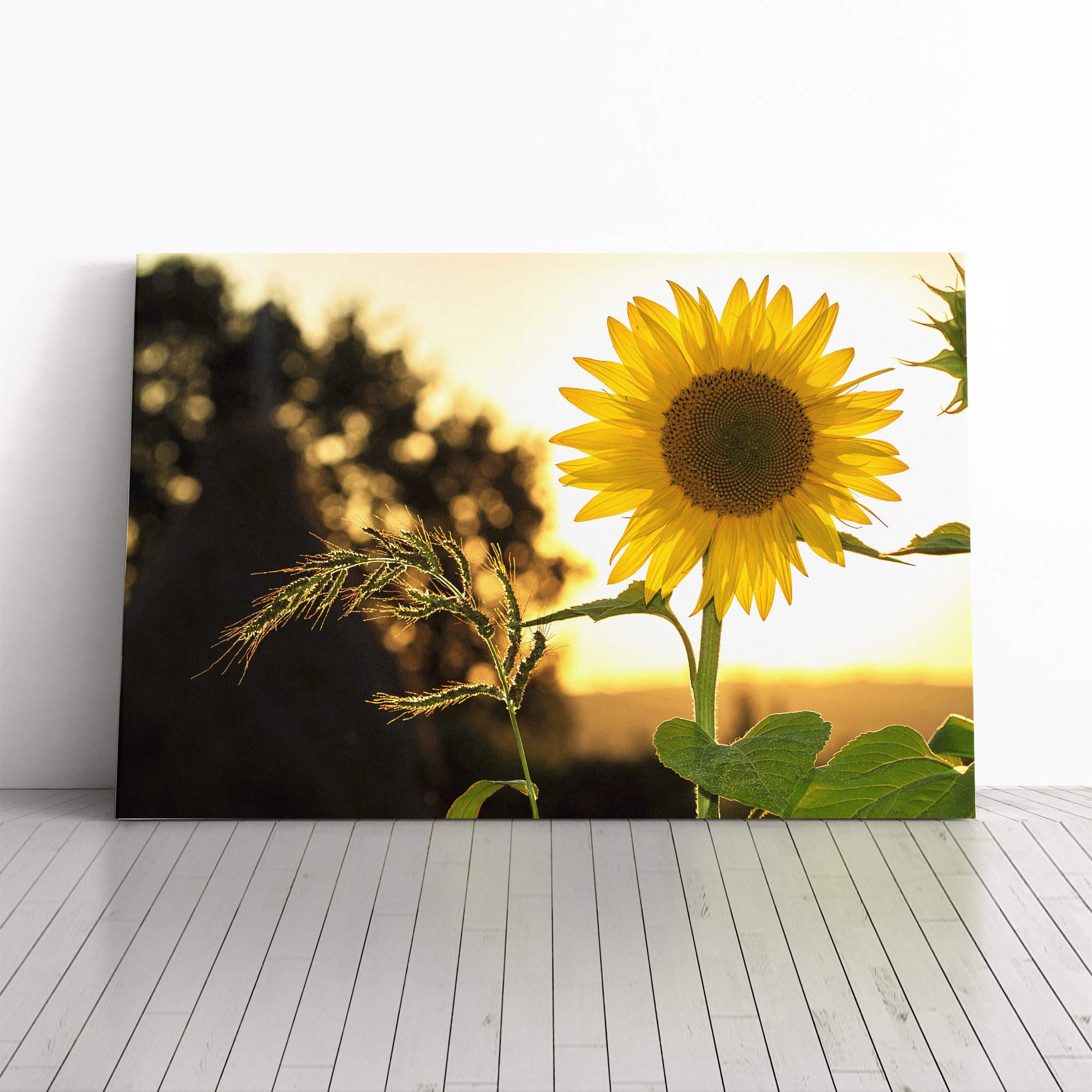Flower The Yellow Sunflower Canvas Print | Gallery Wrapped 30mm Frame Wall Art | 20x14 inches | Ready to Hang | Modern Floral Picture | Living Room Bedroom Lounge Office