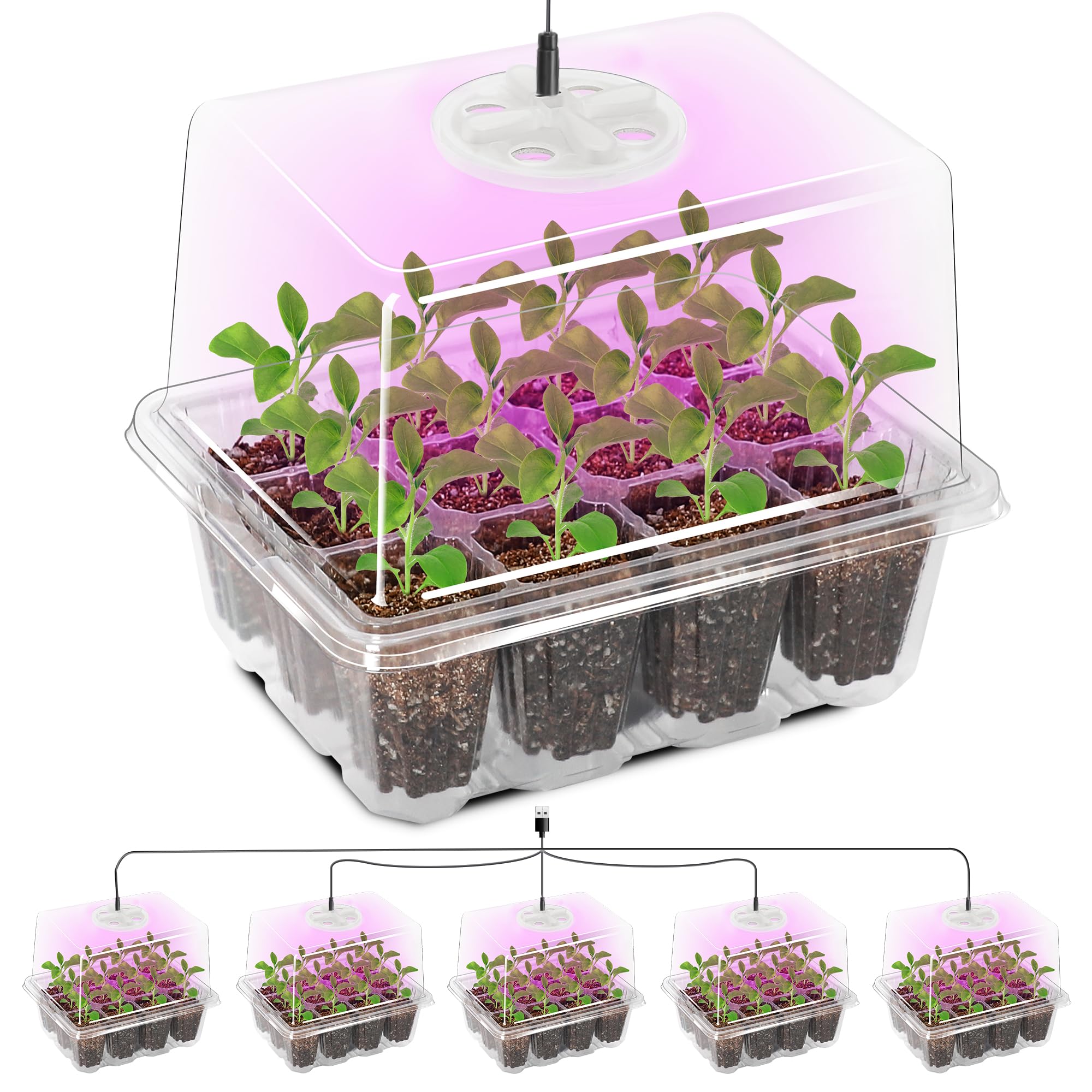 MIXC Seed Trays with Grow Light, 5 Pack Seed Trays with Lids, Propagators for Plants with Adjustable Lids and Clear Cell Tray, Propagator with 8 Full Spectrum Led Lamp Beads, For Indoor Plants, Clear