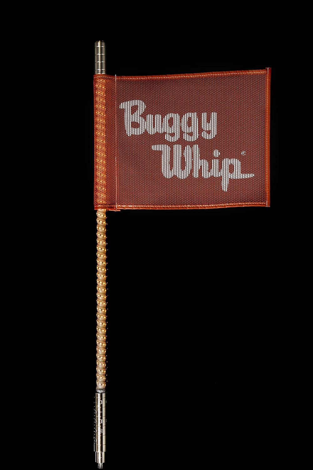 the buggy whip