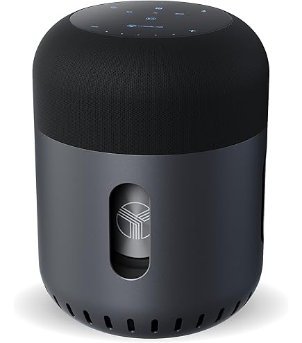 Amazon.com: ABRAMTEK E600 Bluetooth Speaker and Carrying Bag and