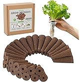 50 Pack Hydroponic Grow Sponges Seed Pods Replacement, Growing System Plant for Seed Plugs Garden Cube Sponges Replacement,Compatible with Aerogarden & Most Hydroponic System,1pc Tweezer