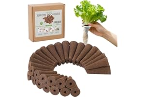 SIETAMIS 50 Pack Grow Sponges for Seed Starting Plant Propagation, Easy to Use for Indoor for Hydroponic Indoor Garden System