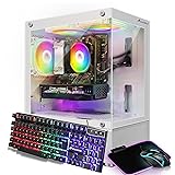 STGAubron Gaming PC Computer Desktop, AMD Athlon