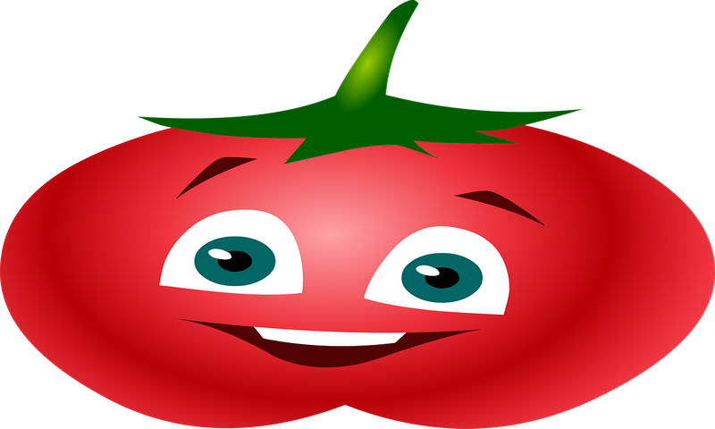 King Chicken Dahab - //medicalbooks.filipinodoctors.org