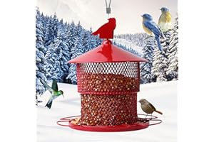 Metal Bird Feeder for Outside, Squirrel Proof Bird Feeders Outdoor Wild Bird Feeders Hanging with 4 lbs Seed Capacity for Car
