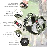 HEELE Dog Harness No Pull Front Back Clips Reflective Adjustable Size M Green view 4